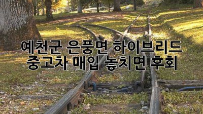 🚗 예천군 은풍면 하이브리드 중고차 매입, 놓치면 후회! 💨